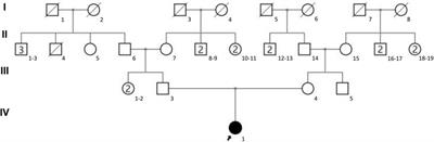 Case Report: Whole exome sequencing identifies compound heterozygous variants in the TRAPPC9 gene in a child with developmental delay